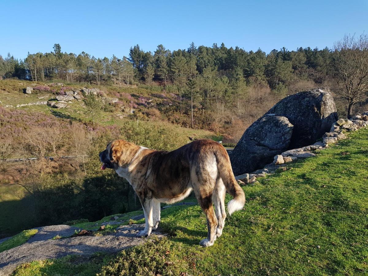 El Viejo Molino Villa Lugo Kültér fotó